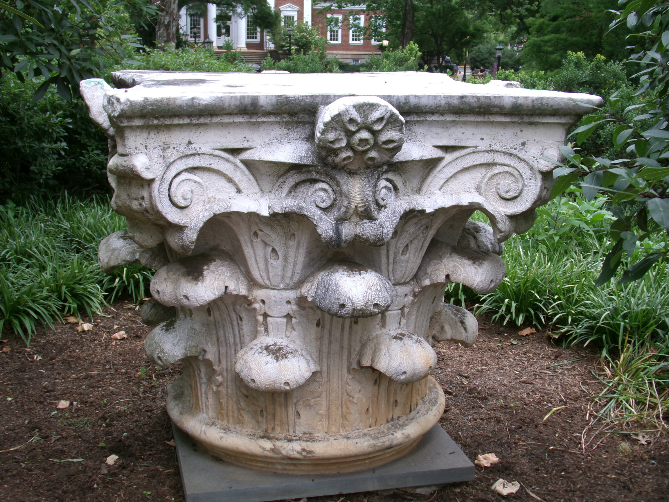 Corinthian Capital for a column in Charlottesville, VA